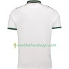 Ierland Uitshirt 2018